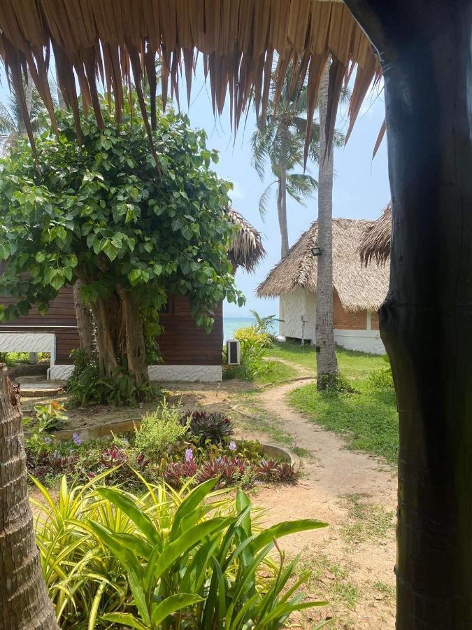 Wild Wood X Hansa Beach Fitness Resort 通萨拉 外观 照片
