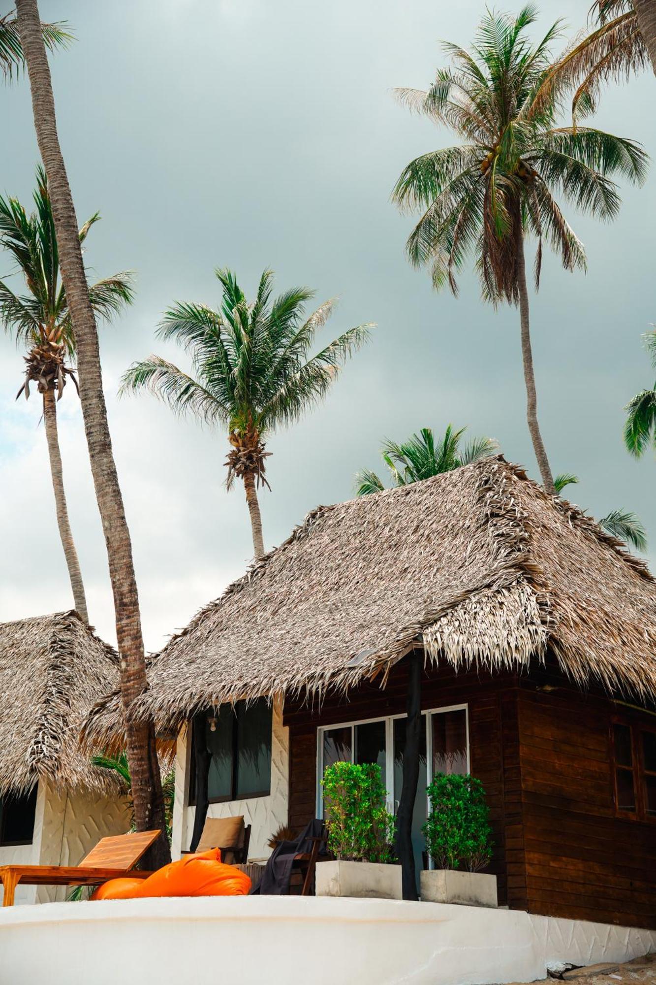 Wild Wood X Hansa Beach Fitness Resort 通萨拉 外观 照片